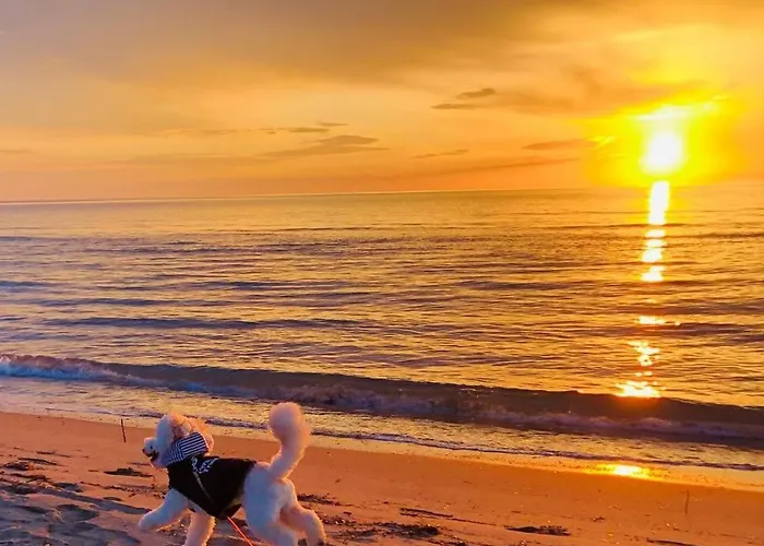 Apartamento Valamar Hamallaj Draç